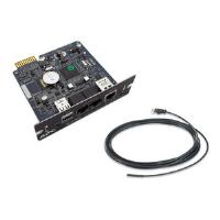 APC UPS Network Management Card 2 with Environmental Monitoring