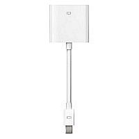 Apple Mini DisplayPort to DVI Adaptor