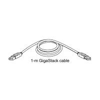1 metre cable for GigaStack GBIC